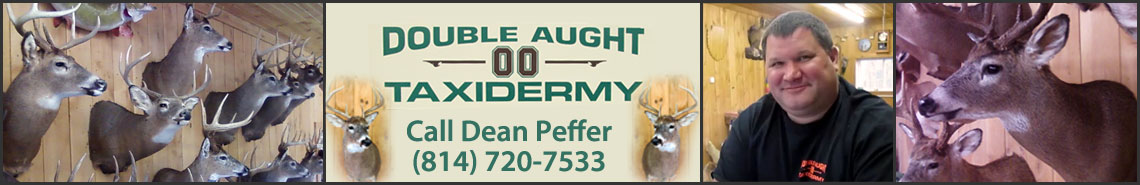 Double Aught Taxidermy Logo